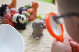 Here's all you need to create a Pretend Play Zookeeper Station! Includes a FREE Zookeeper Checklist.