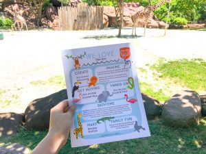 Zoo Themed Kids Activities with free printables and a full supplies list. Perfect to do with kids this summer! Includes FREE Printables