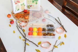 Get ready to have fun with your kiddos and welcome Fall with this Allergy Friendly Play Dough Kit. It's the perfect activity for a Fall play date!