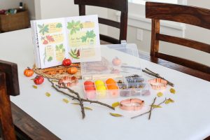 Get ready to have fun with your kiddos and welcome Fall with this Allergy Friendly Play Dough Kit. It's the perfect activity for a Fall play date!