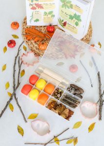 Get ready to have fun with your kiddos and welcome Fall with this Allergy Friendly Play Dough Kit. It's the perfect activity for a Fall play date!