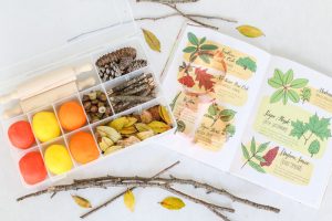 Get ready to have fun with your kiddos and welcome Fall with this Allergy Friendly Play Dough Kit. It's the perfect activity for a Fall play date!