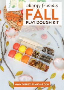 Get ready to have fun with your kiddos and welcome Fall with this Allergy Friendly Play Dough Kit. It's the perfect activity for a Fall play date!