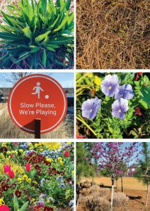 A Color Scavenger Hunt is the perfect way to get outside and explore nature with your kids. Invite your kids to explore outside (or inside!) with this simple activity. The FREE Printable makes it easy to just print and go!