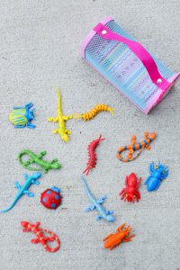 Grab a bug catcher & invite your kids to go on a bug hunt. This Backyard Bug Hunt Activity For Kids is so easy to put together and is perfect for outdoor (or indoor) play! This is a great spring or summer activity.