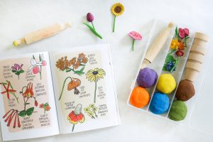 Want to add some pizzazz to your play dough creations? This easy DIY Flower Pot Play Dough Kit is perfect for kids of all ages and so easy to put together. This kit encourages open ended play and imagination as kids build and decorate with the supplies in the box. It would also make the perfect birthday gift for the budding artist in your life.