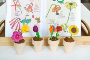 Want to add some pizzazz to your play dough creations? This easy DIY Flower Pot Play Dough Kit is perfect for kids of all ages and so easy to put together. This kit encourages open ended play and imagination as kids build and decorate with the supplies in the box. It would also make the perfect birthday gift for the budding artist in your life.