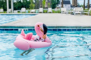 Whether you’re in your own backyard or out exploring your city there’s so many fun ways to connect and play with water. Water play is simple, fun, and kids of all ages enjoy it. Check out the Best Summer Outdoor Water Play Activities for Kids—they're sure to be a hit!